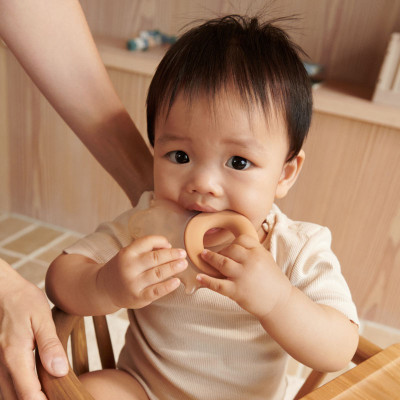 LIEWOOD chladiace hryzátko Rita sloník 2 ks Pale tuscany / Sandy